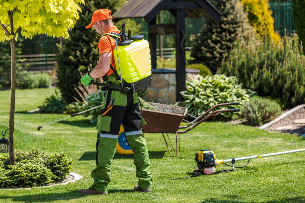 Best Bee and Wasp Removal  in Ada, MN